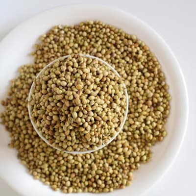 Coriander