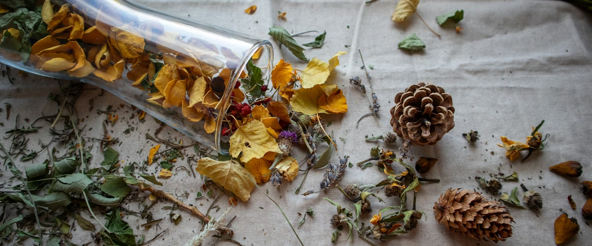 Herbs & Dehydrated Leaves