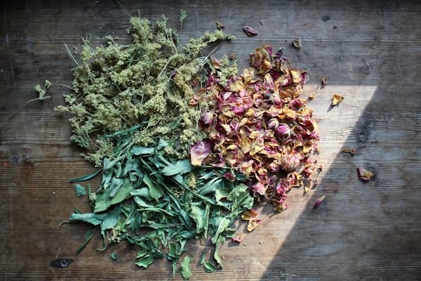 Herbs