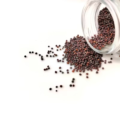 Mustard Seeds (Black)