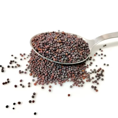 Mustard Seeds