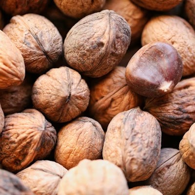 Nutmeg & Mace