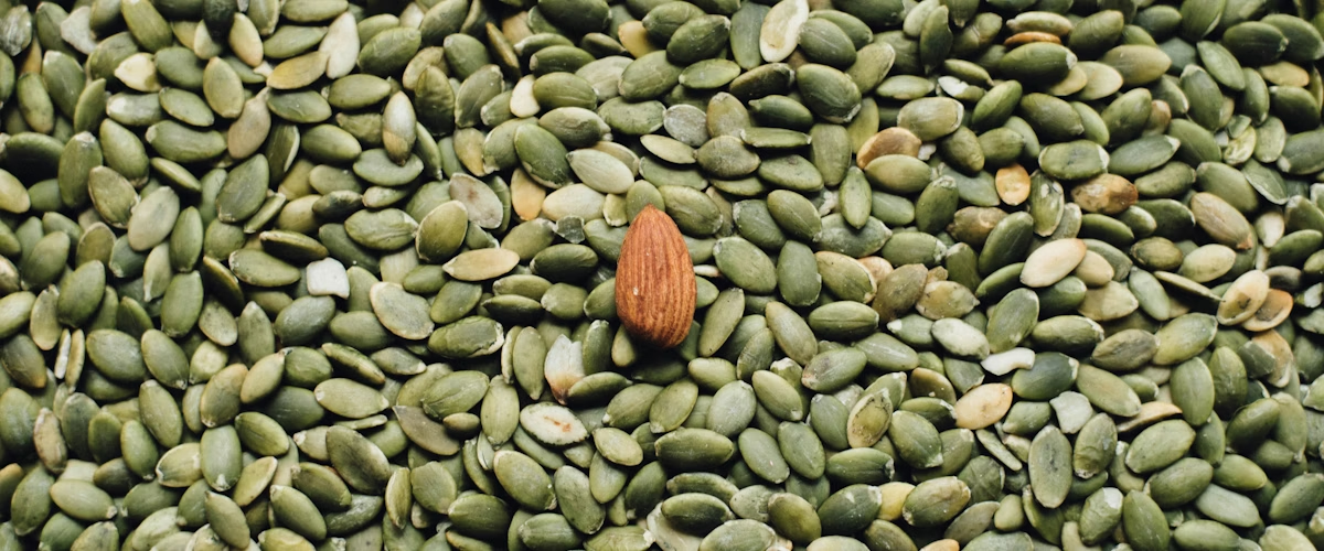 Oil Seeds