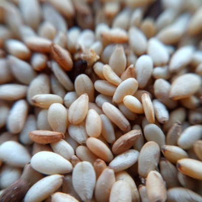 Sesame Seeds (White)