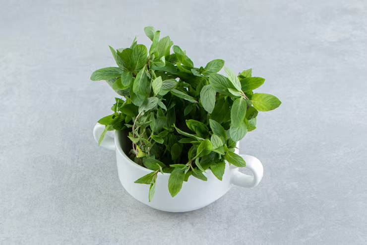 Tulsi (Holy Basil)